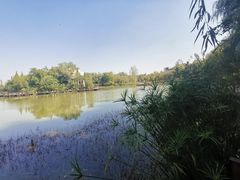 -成都中医药大学(温江校区)