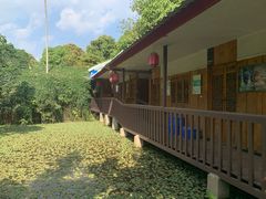 -晓雯人家