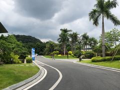 -南宁荔园维景国际酒店·荔园中餐厅