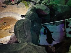 -泉城欧乐堡海洋极地世界