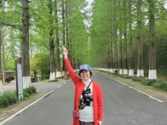 -黄海国家森林公园