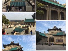 -武汉大学-樱园