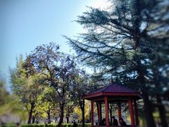 -北京石刻艺术博物馆(五塔寺)