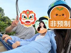 -圣淘沙天际线斜坡滑车