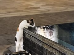 -比斯特苏州购物村精品奥特莱斯
