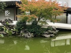 -秋霞圃