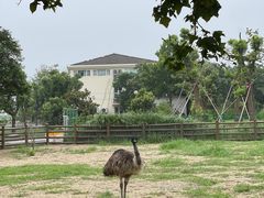 -苏州太湖西山岛开心农场