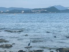 -三亚绿发山海天JW万豪酒店