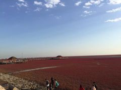 -红海滩国家风景廊道