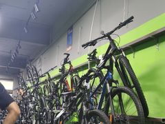 -道路口单车爱瓦士dahon大行