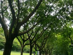 -广州雕塑公园