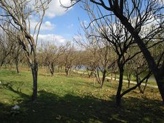 -福建鲤鱼洲酒店