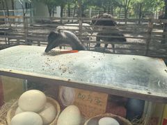 -水上乐园·欢乐世界