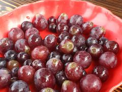 -乡乐园蟹庄·阳澄湖农家乐