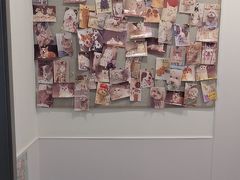 -宠物星动物医院·眼科·异宠·猫科(江南大道总院)