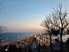 -星海湾跨海大桥