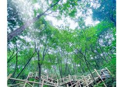 -大岭沟猕猴桃谷风景区