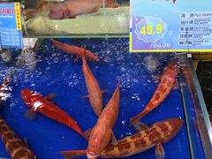 -东江海鲜酒家(艺都分店)