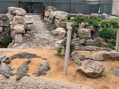 -石家庄市动物园