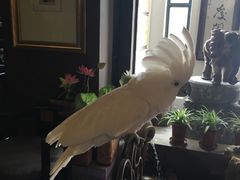 -大唐名家·息壤店