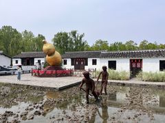 -溱湖国家湿地公园