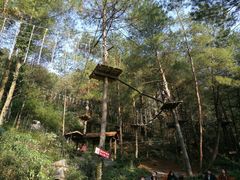 -梦幻奥陶纪景区