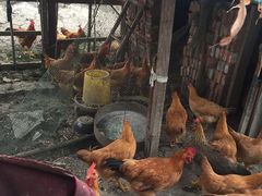 -乡乐园蟹庄·阳澄湖农家乐