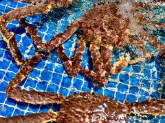 -三亚火车头万人海鲜广场