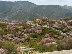 -四明山国家森林公园