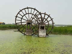 -宁波杭州湾国家湿地公园