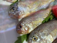 -日丰园海肠水饺·老字号大连海鲜(银泰城店)