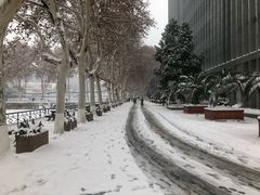 -中国地质大学图书馆