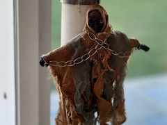 -爪吧宠物乐园 (温榆河示范区店)