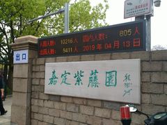 -嘉定紫藤园