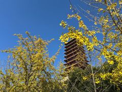 -牛首山文化旅游区