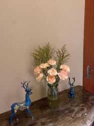 -彼家美创·量肤定制修护管理