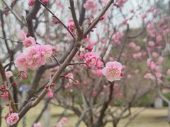 -北京明城墙遗址公园