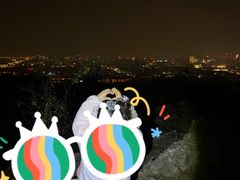 -紫金山山顶公园