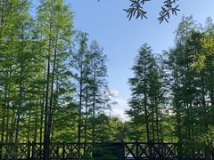 -老外婆(吾悦广场店)