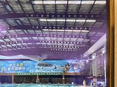 -南宫温泉水世界