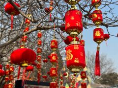 -北京石景山游乐园