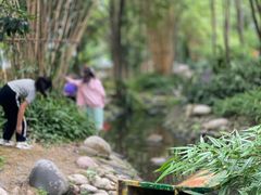 -成都市活水公园