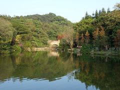 景点-云溪植物园