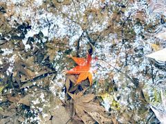 -浙江西湖美术馆