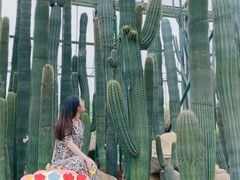 -南通洲际绿博园