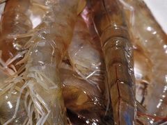 -景笙毋米粥底火锅(20年老字号)