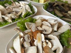 -爱膳菌锅锅(阳南店)
