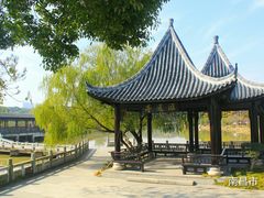 -九龙湖公园