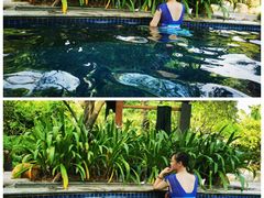 -厦门日月谷温泉渡假村