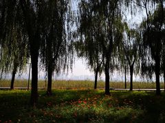 -一澜江宴·江景地标楚菜(江滩公园店)